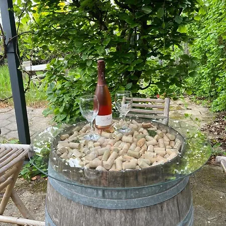 Hus Og Have I Herning, 100 Kvm Ialt * Herning