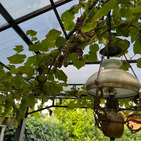 Hus Og Have I Herning, 100 Kvm Ialt Villa *